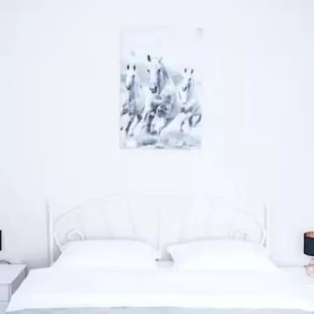 Natalia & Didier Kolozsvár